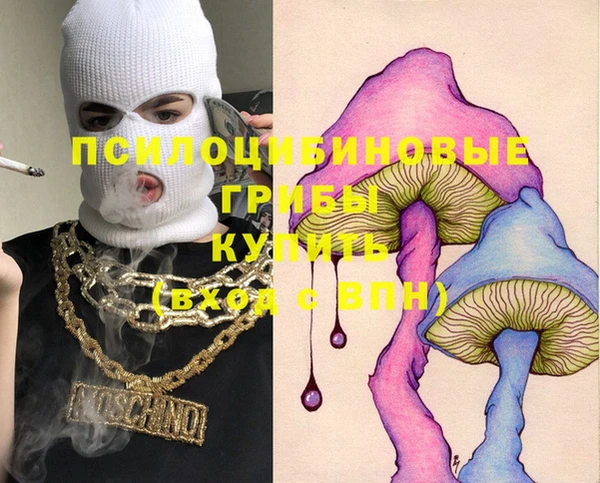 соль ск Навашино