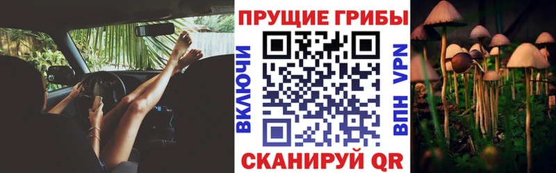 hydra ONION Углегорск Псилоцибиновые грибы мухоморы